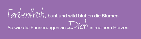 Farbenfroh bunt und wild blühen die Blumen ...